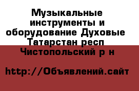 Музыкальные инструменты и оборудование Духовые. Татарстан респ.,Чистопольский р-н